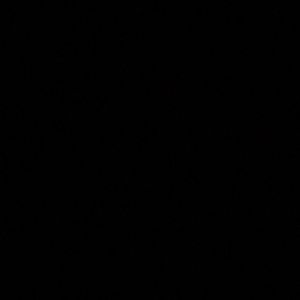 Meet your Posher, Mersiha